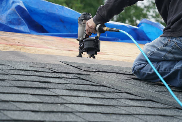 Best Roof Gutter Cleaning  in Lincolnton, GA